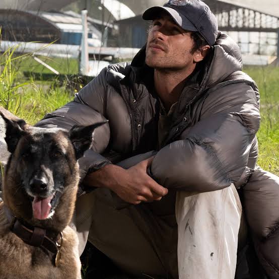 THE DOG STARS