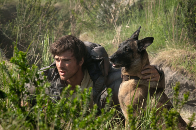 THE DOG STARS